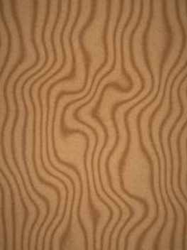Douglas fir sample